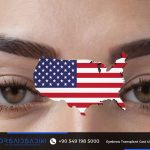 Eyebrow Transplant Cost USA 2025